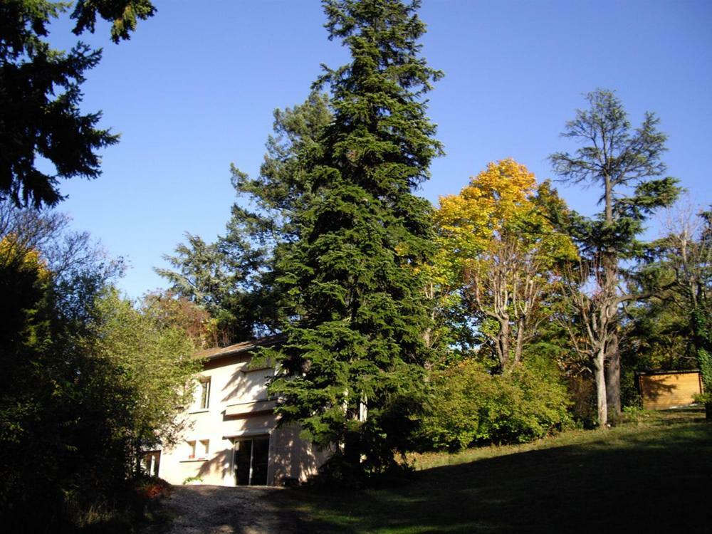 Villa Castel Maison Meublee Lyon Exterior foto